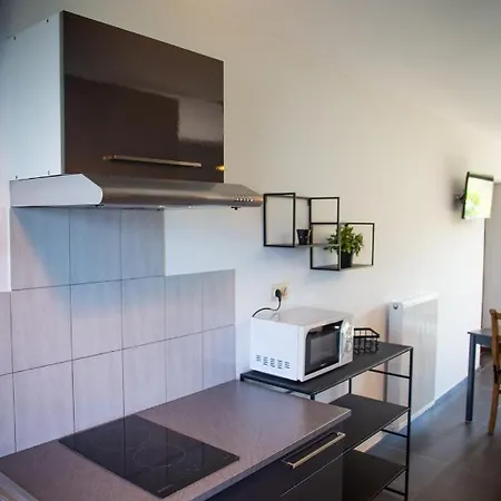 La Du Pelerin Appartement *