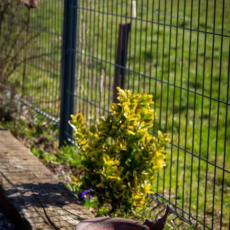 La Du Pelerin Appartement *